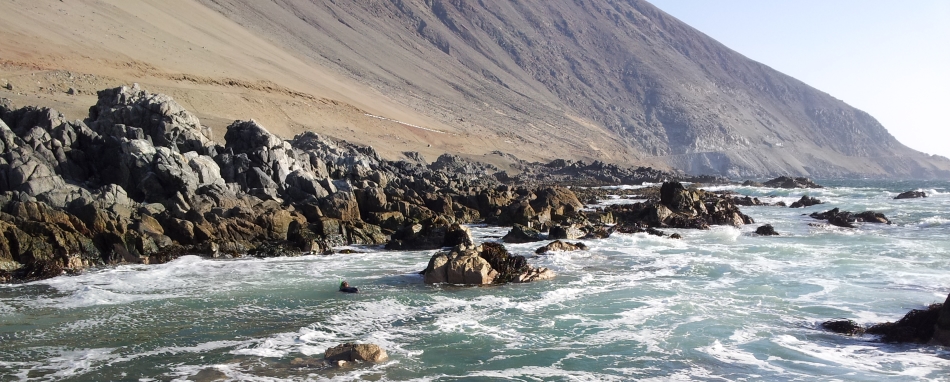 The productive coastal zone of Northern Chile provides food and employment for many.