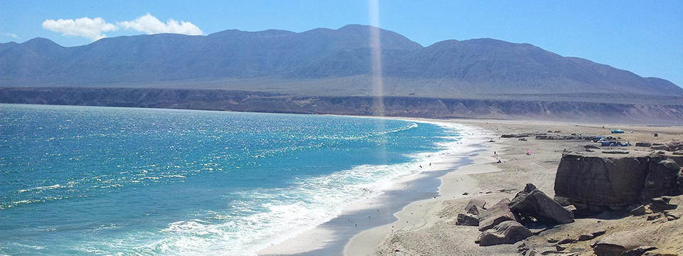 Las costas de Antofagasta son un increíble laboratorio natural